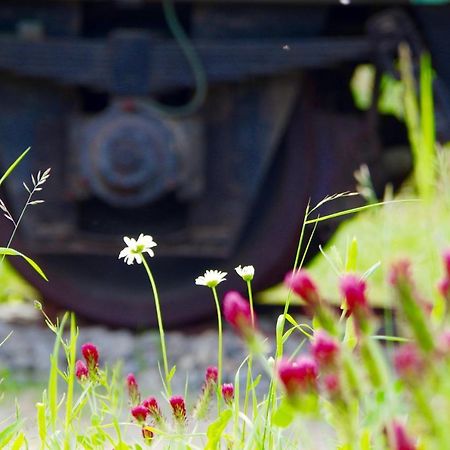 Вілла Urlaubsbahnhof-Schlafwagen Лаутербах Екстер'єр фото